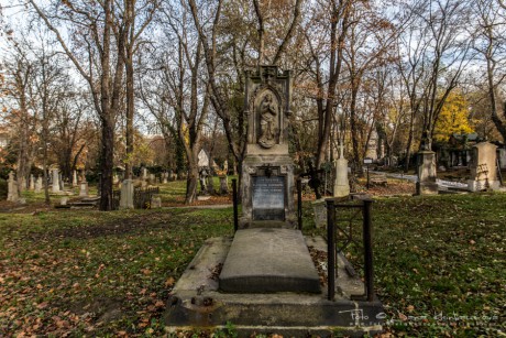 Olšanské hřbitovy-6825