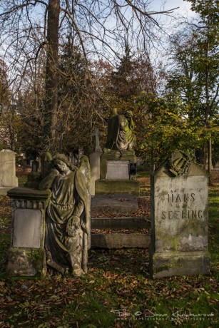 Olšanské hřbitovy-6830