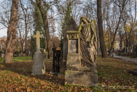 Olšanské hřbitovy-6856