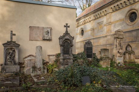 Olšanské hřbitovy-6863