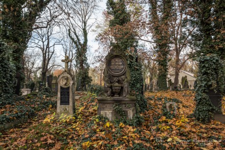Olšanské hřbitovy-6891