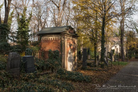 Olšanské hřbitovy-6905