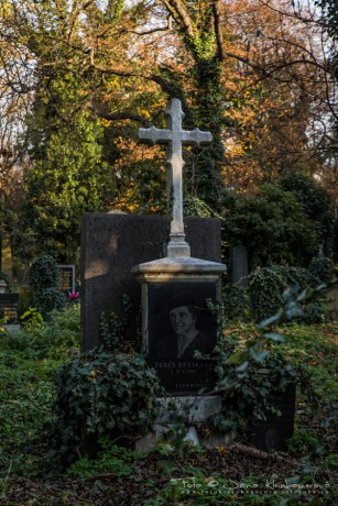 Olšanské hřbitovy-6941