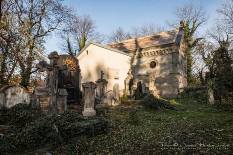Olšanské hřbitovy-6951