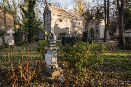Olšanské hřbitovy-6957