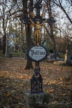 Olšanské hřbitovy-6962