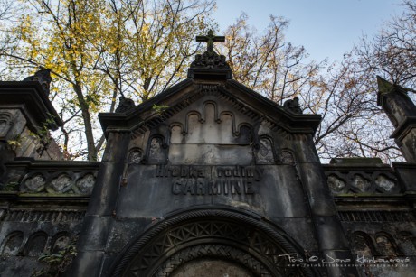 Olšanské hřbitovy-6978