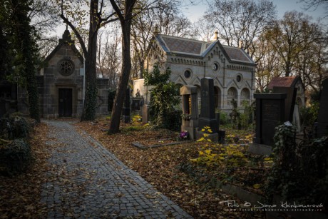 Olšanské hřbitovy-7001