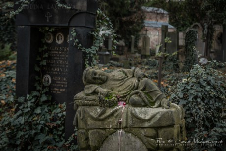 Olšanské hřbitovy-7018