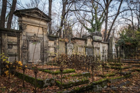 Olšanské hřbitovy-7053