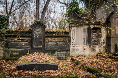Olšanské hřbitovy-7057