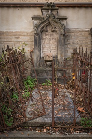 Olšanské hřbitovy-7084