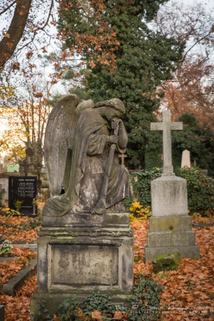 Olšanské hřbitovy-7100