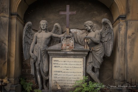 Olšanské hřbitovy-7116