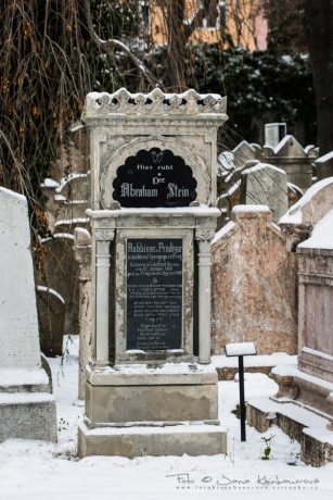 Starý židovský hřbitov Žižkov -8074