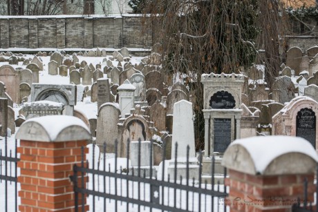 Starý židovský hřbitov Žižkov -8075