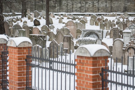 Starý židovský hřbitov Žižkov -8076